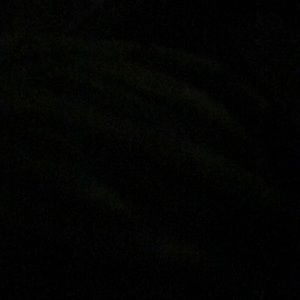 Meet your Posher, Savannah